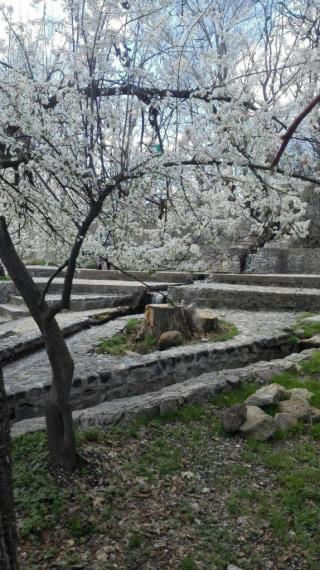 پارک کمربسته,سرکان,گنبله,تویسرکان,شکوفه,بهار,shabnamha.ir,شبنم همدان,afkl ih,شبنم ها