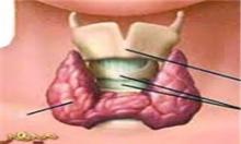 فوق تخصص غدد,شبنم همدان,کم کاری تیروئید,متابولیسم,افزایش,shabnamha.ir,afkl ih,shabnamha